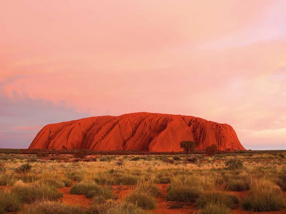 울룰루 2박3일 캠핑투어 (앨리스스프링스 or 에어즈락공항 시작, 앨리스스프링스 종료)