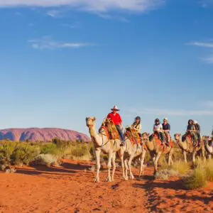 울룰루 낙타 투어 (호주 아웃백 낭만)