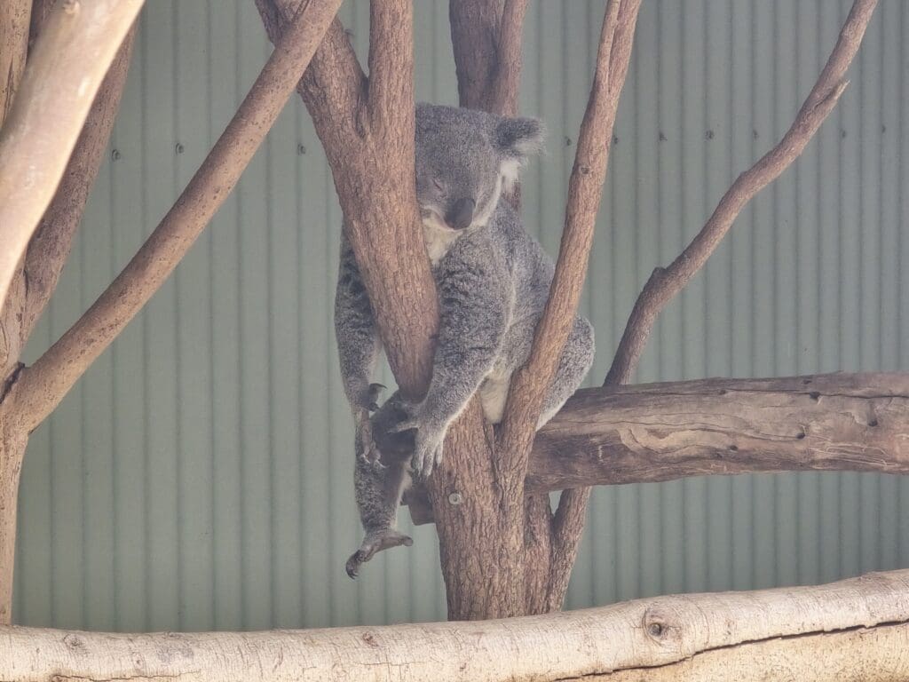 Image #1 from Samuel Chung