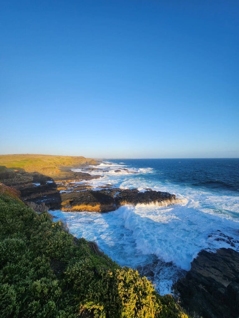 Image #4 from Wonki Chae