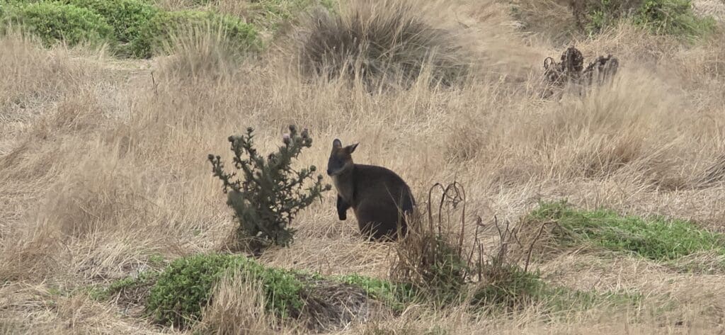 Image #2 from 이다경 LEEDAGYEONG