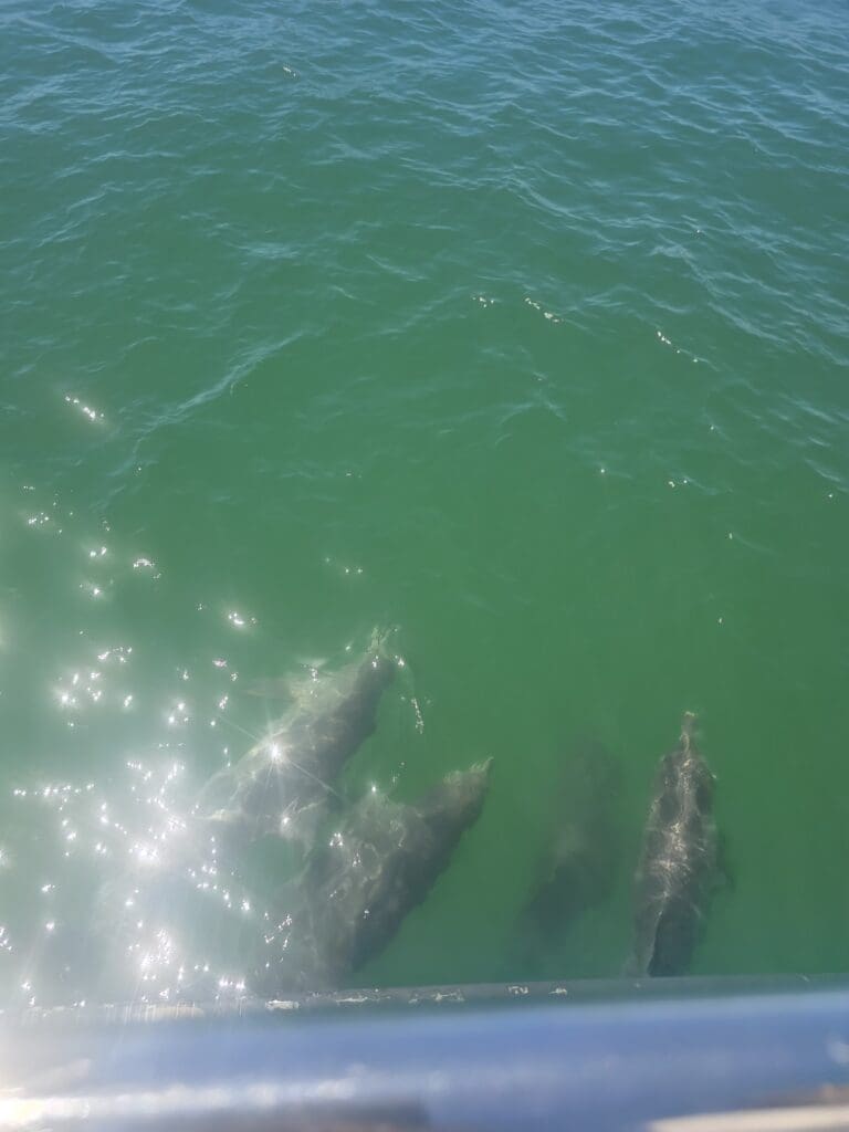 Image #3 from 상범 이