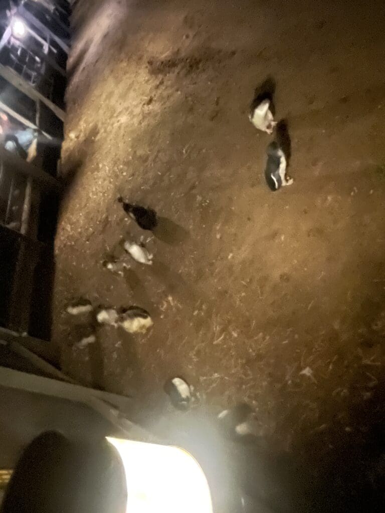 Image #1 from 이승연