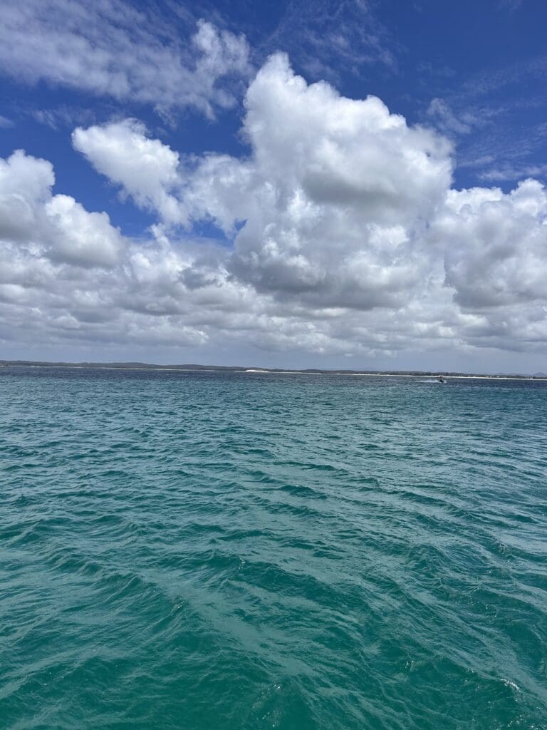 Image #2 from Hajin Lee