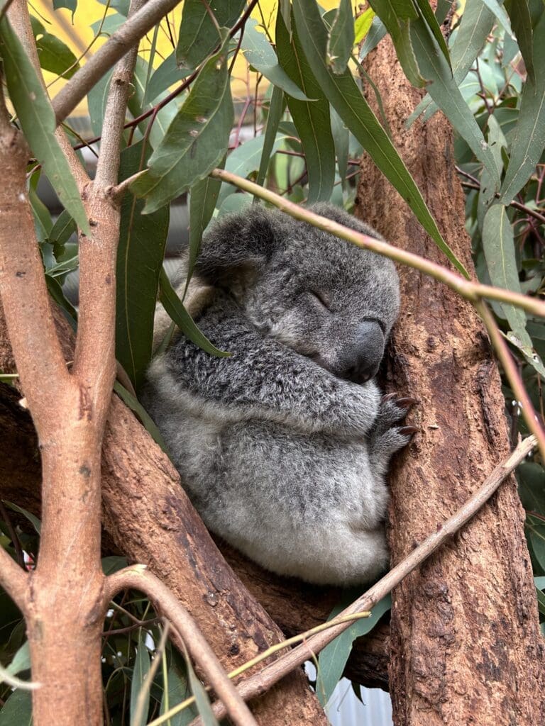 Image #3 from Hajin Lee