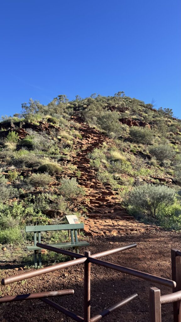 Image #1 from Serena