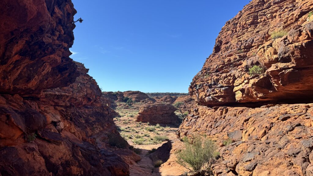 Image #2 from Serena