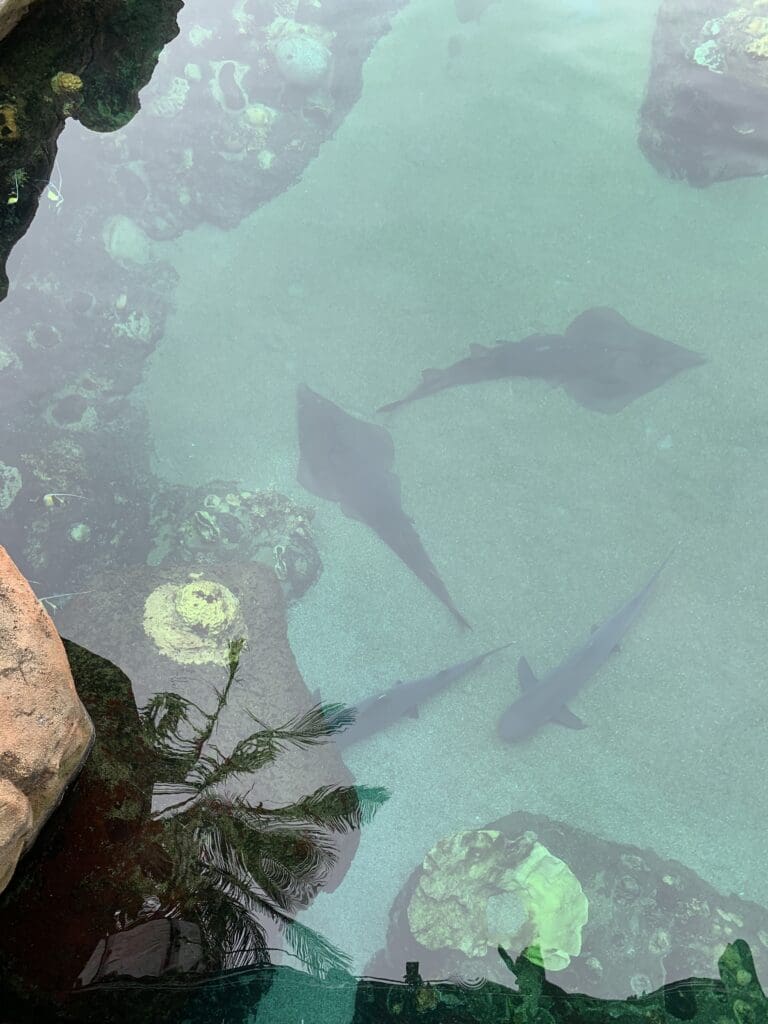 Image #3 from 윤미란 yoon mi ran