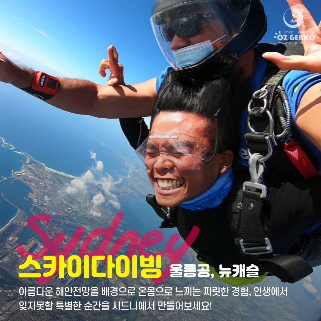 시드니 울릉공 스카이다이빙 15000피트