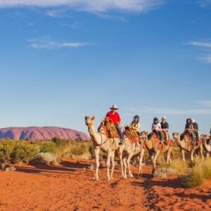 울룰루 낙타 투어 (호주 아웃백 낭만)